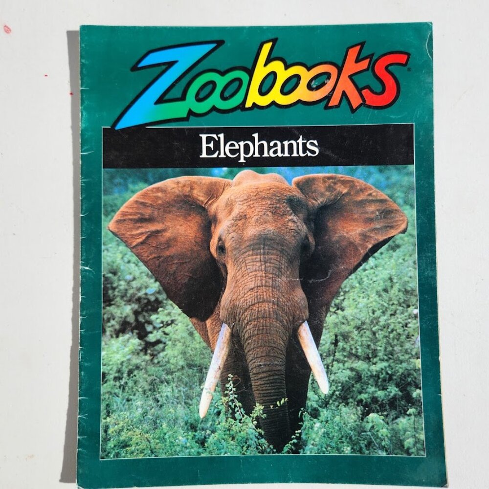 Elephants Zoobooks Kids Magazine Vintage Children's Ranger Rick John Bonnett Wex